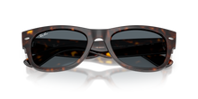 Load image into Gallery viewer, Ray Ban 0832 SOLE 902/R5
