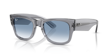 Carica l'immagine nel visualizzatore di Gallery, Ray Ban 0840 SOLE 68463F
