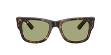 Carica l'immagine nel visualizzatore di Gallery, Ray Ban 0840 SOLE 902/4E
