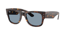 Load image into Gallery viewer, Ray Ban 0840 SOLE 902/56
