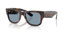 Load image into Gallery viewer, Ray Ban 0840 SOLE 902/56
