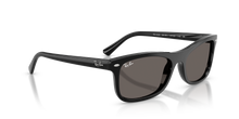 Load image into Gallery viewer, Ray Ban 2226 SOLE 901/B1
