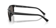 Load image into Gallery viewer, Ray Ban 2226 SOLE 901/B1
