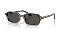 Load image into Gallery viewer, Ray Ban 4455 SOLE 135987
