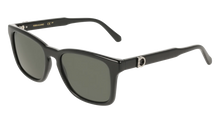 Carica l&#39;immagine nel visualizzatore di Gallery, Ferragamo SF2086SE 001
