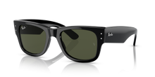 Load image into Gallery viewer, Ray Ban 0840 SOLE 901/31
