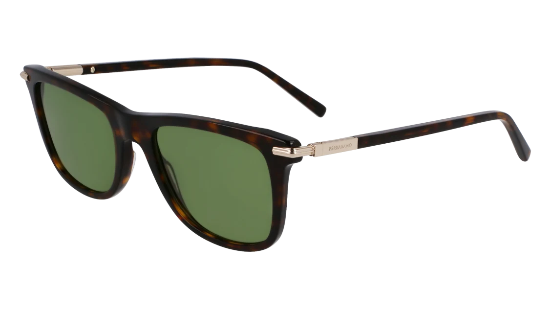Ferragamo SF2028S 242