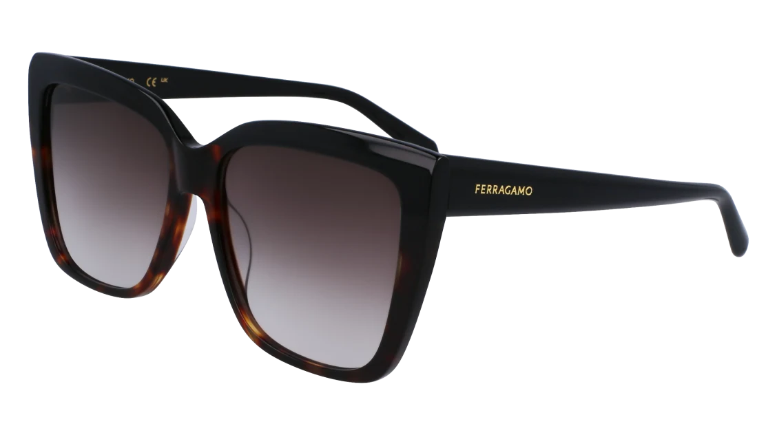 Ferragamo SF1102S 006