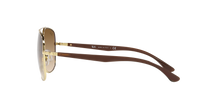 Load image into Gallery viewer, Ray Ban 3683 SOLE 001/51
