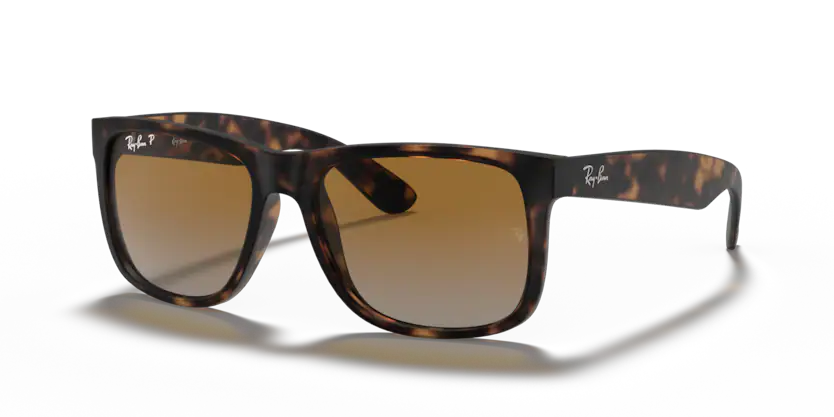 Ray Ban 4165 SOLE 865/T5