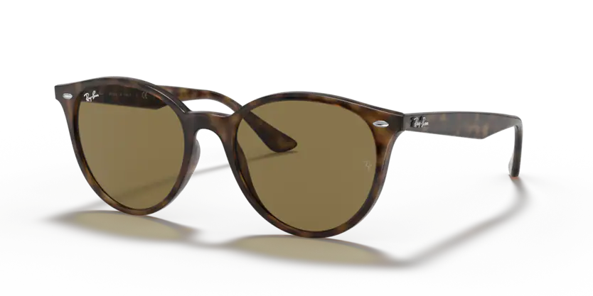 Ray Ban 4305 SOLE 710/73